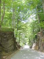 Viale di accesso al Santuario